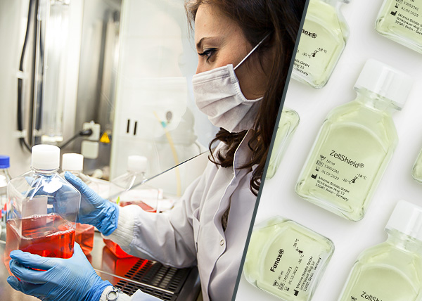 Laboratory staff check hygiene planning