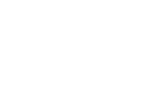 Compass icon