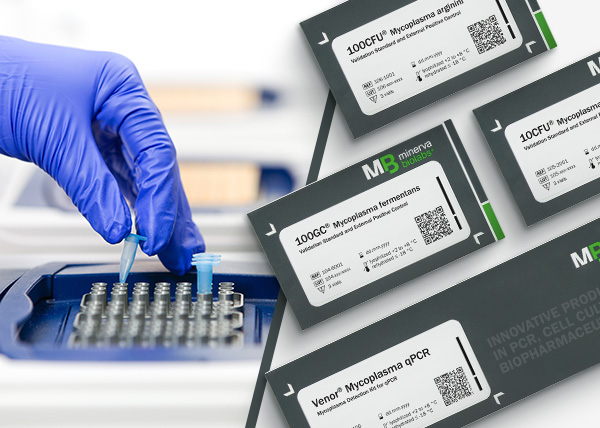 Minerva Biolabs product packages of 100GC, 10CFU, 100CFU Standards and Venor® Mycoplasma qPCR