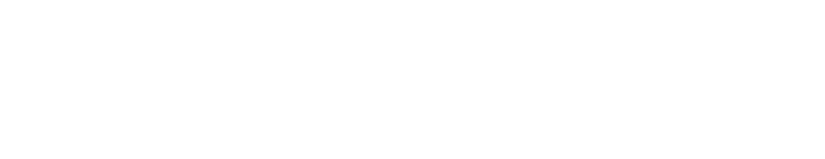 PICO Capital Partners