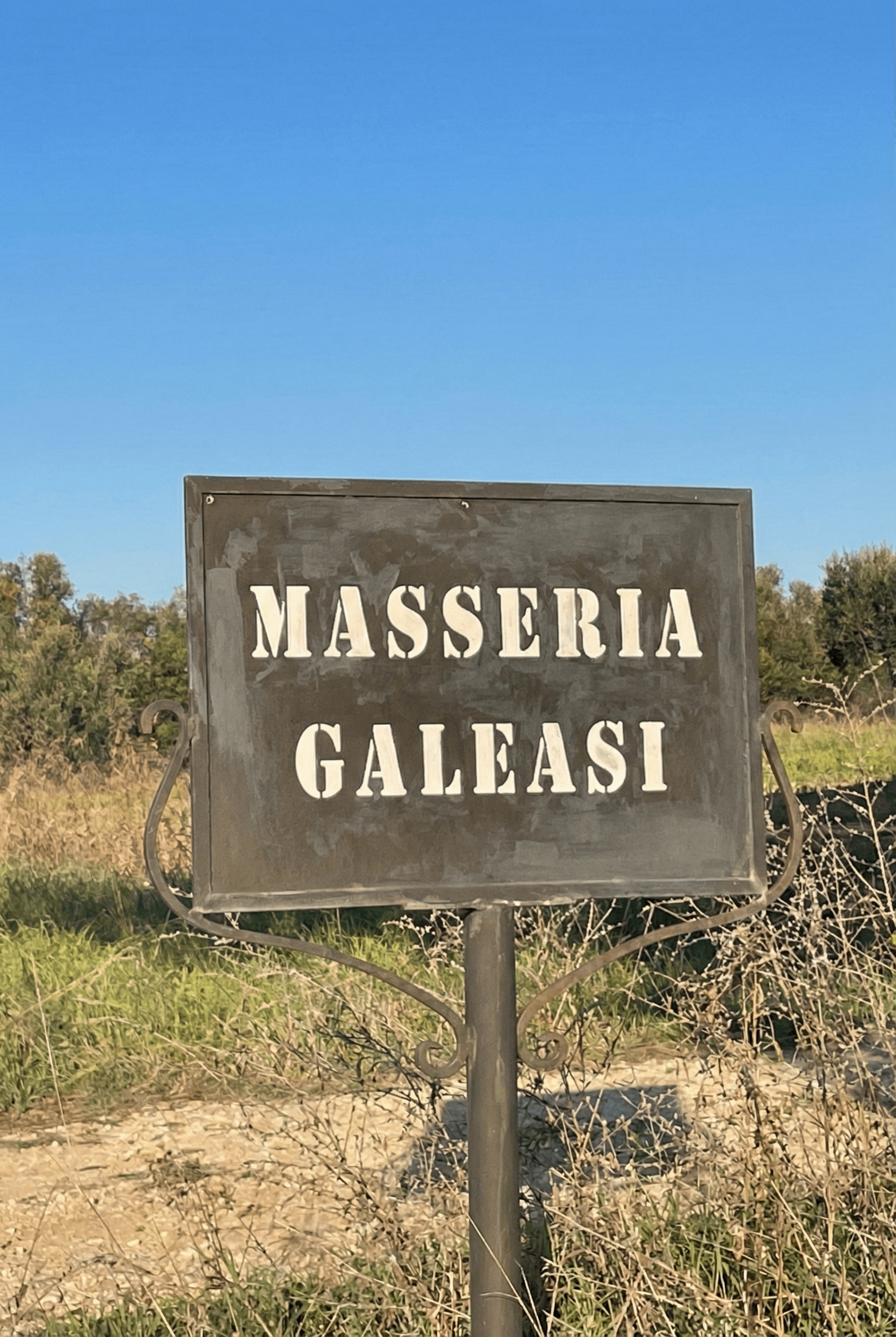 Visit page /foto-insegna