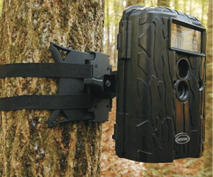 Trail and Game Cameras