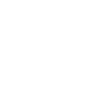 Seyi Makinde Logo