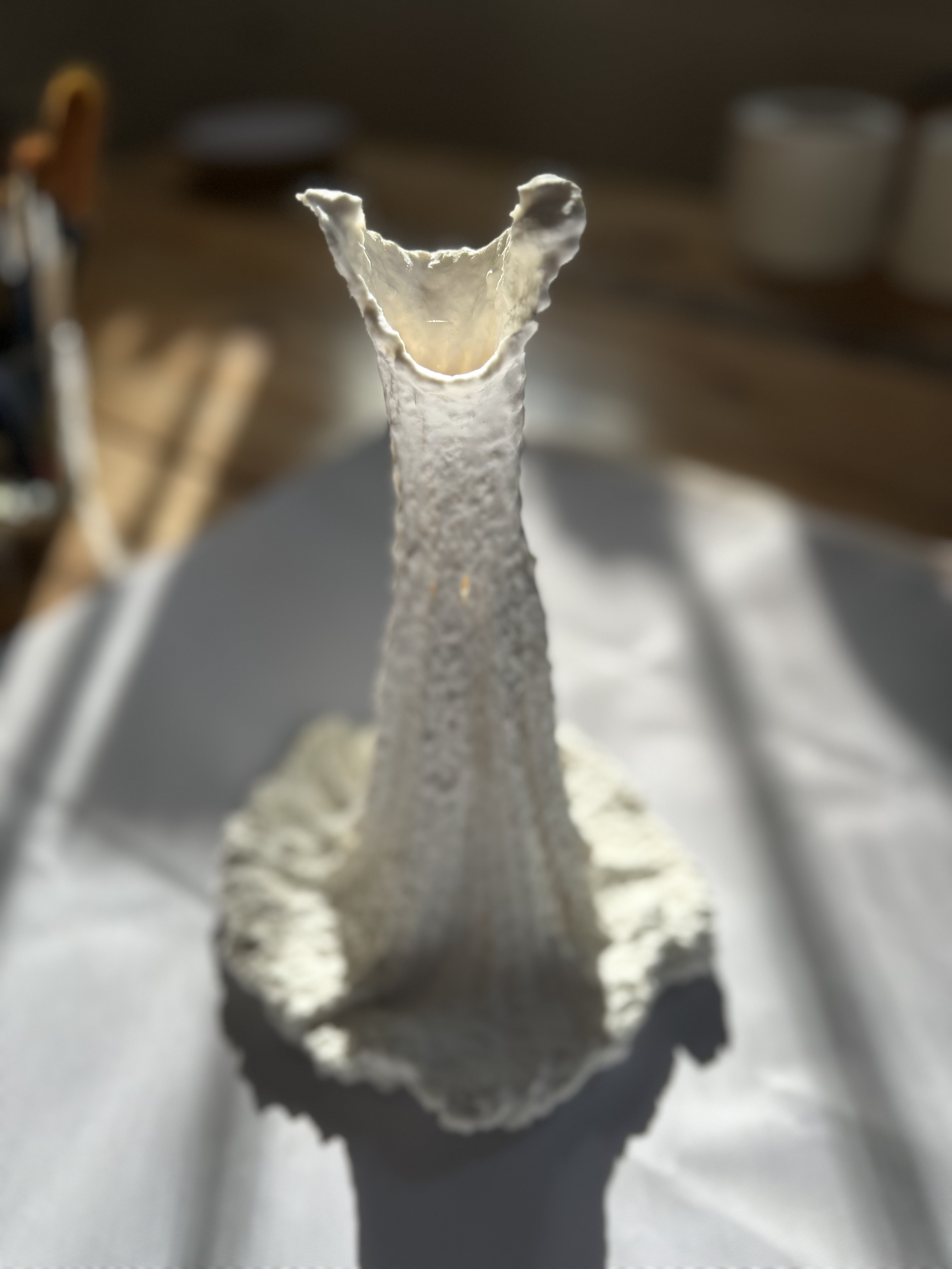 Odwiedź stronę main