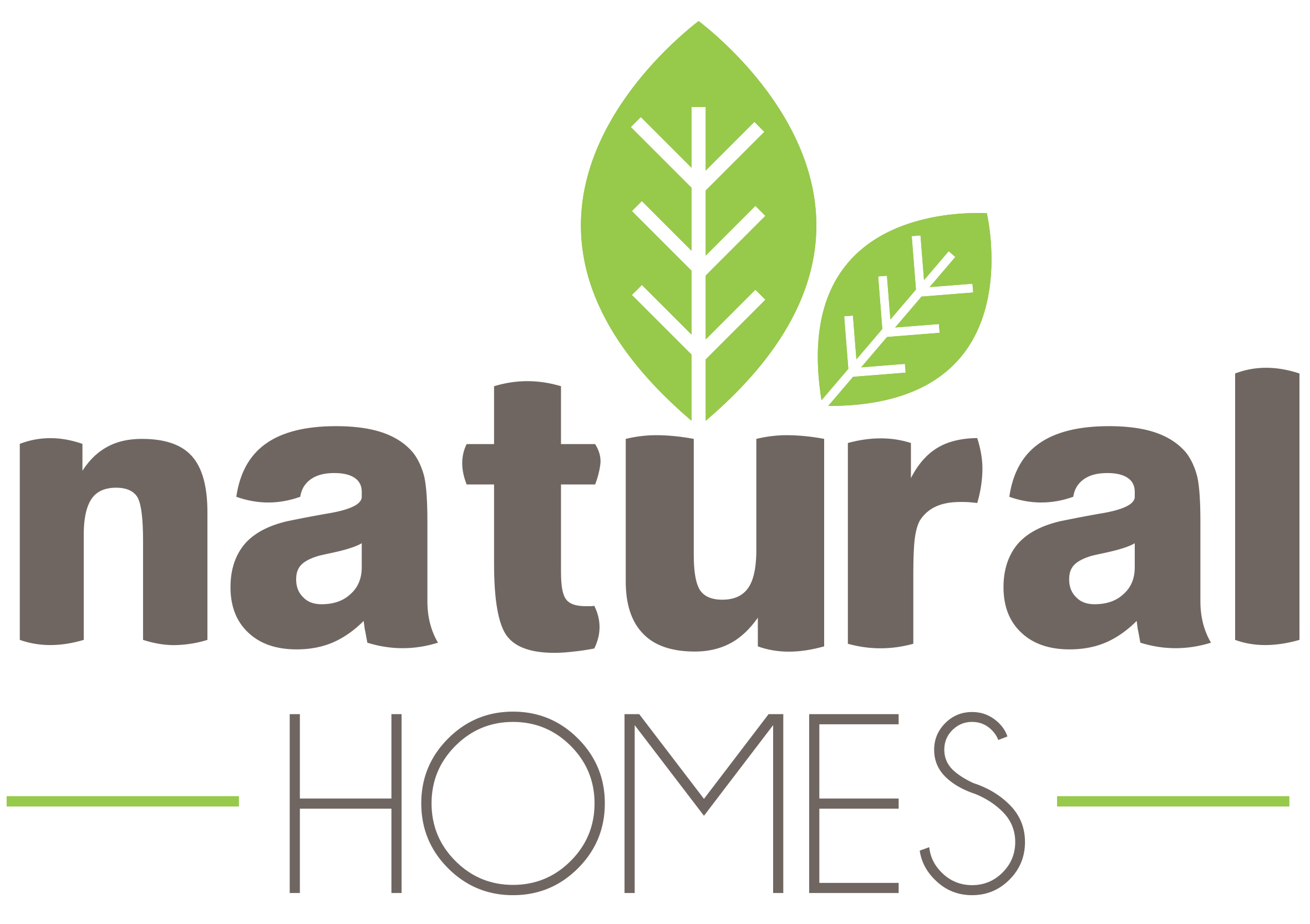Logo Natural Homes