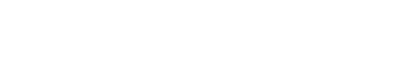 logo everest