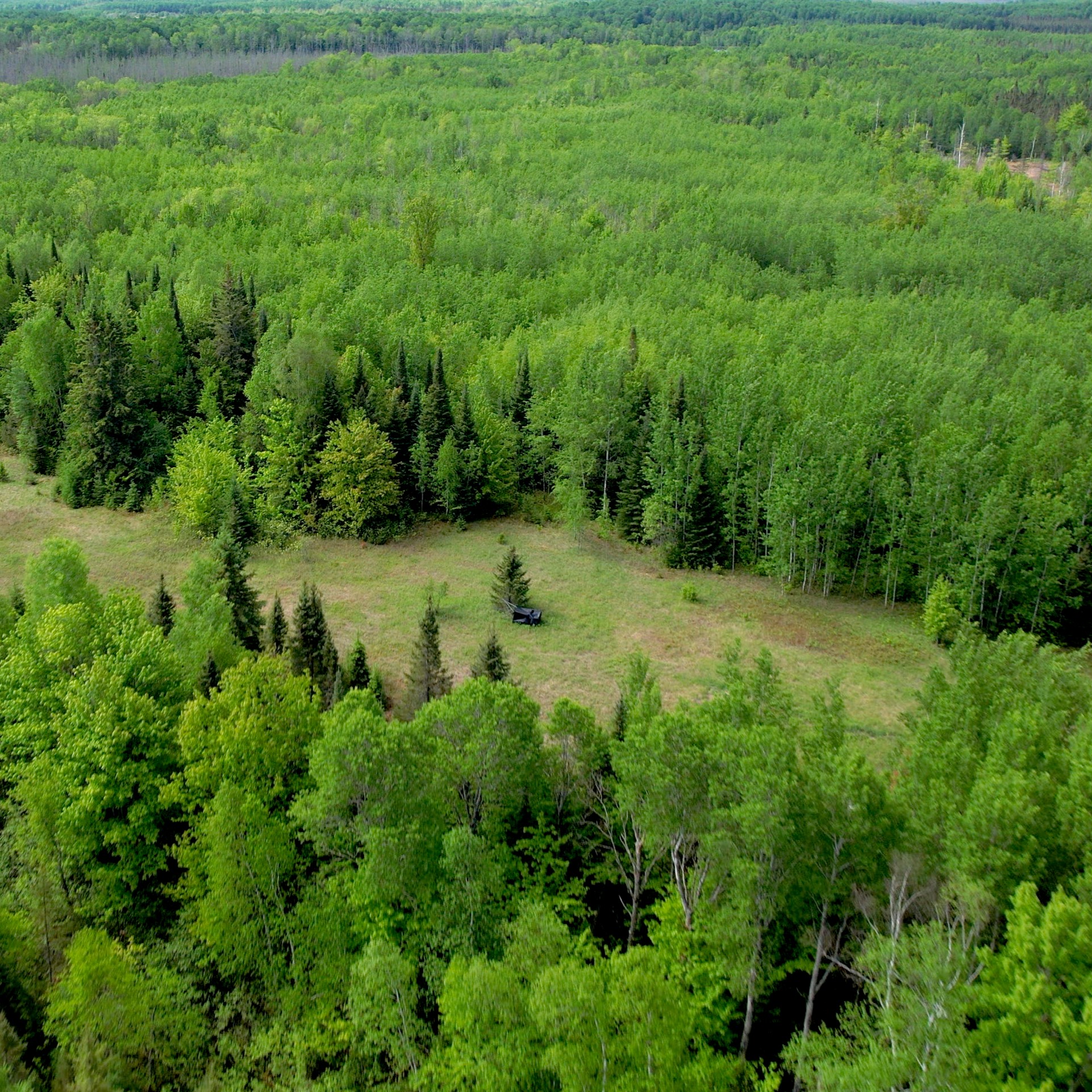 The Fond du Lac Band is the steward of thousands of acres of pristine woodlands in Minnesota.
