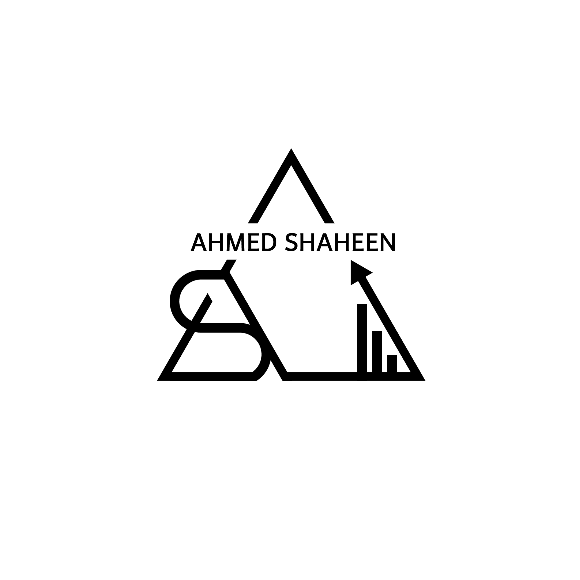 Shaheen Consultancy