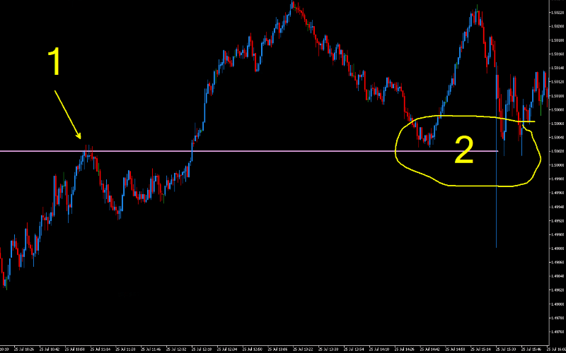 DML EURCAD Plum Models