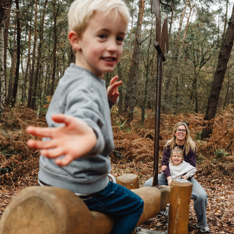 kleine jongen op een wip