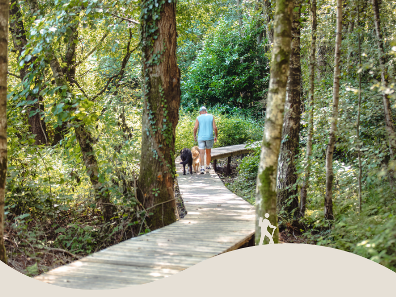 Wandelpad door de natuur