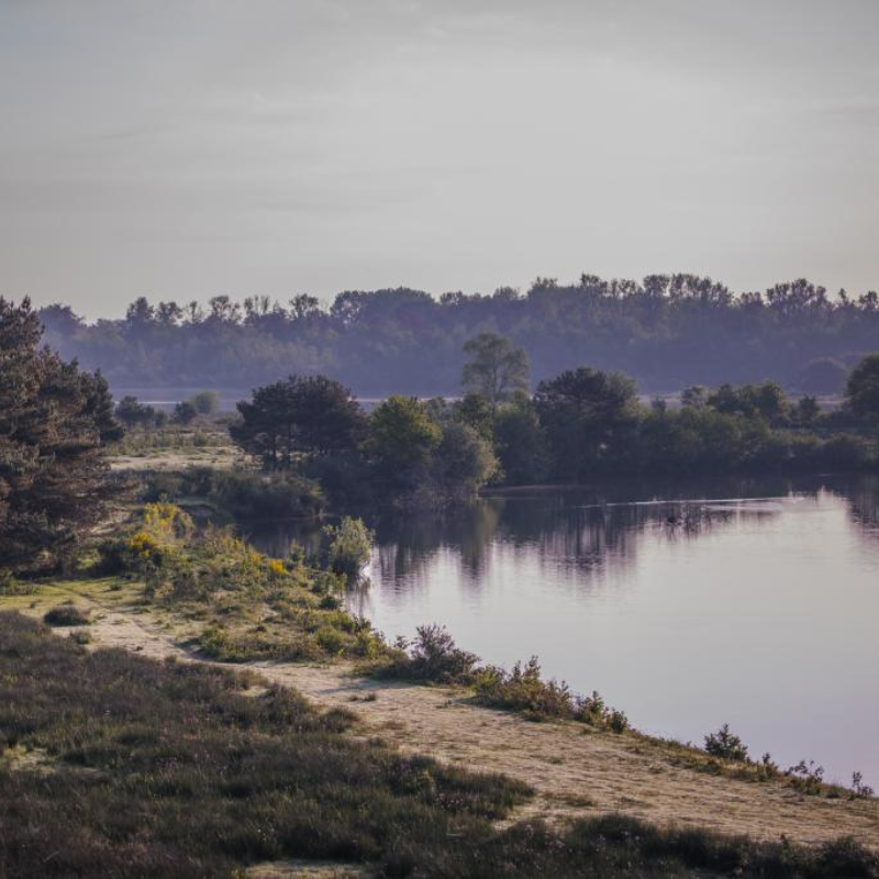 Natuurlandschap met water
