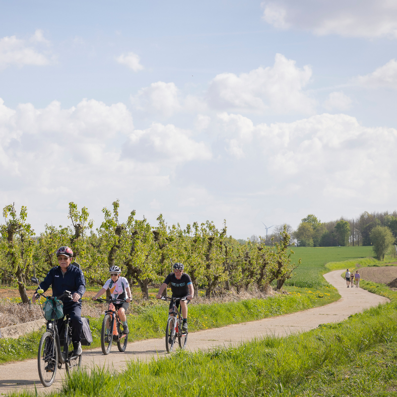 drie fietsers in de fruitstreek