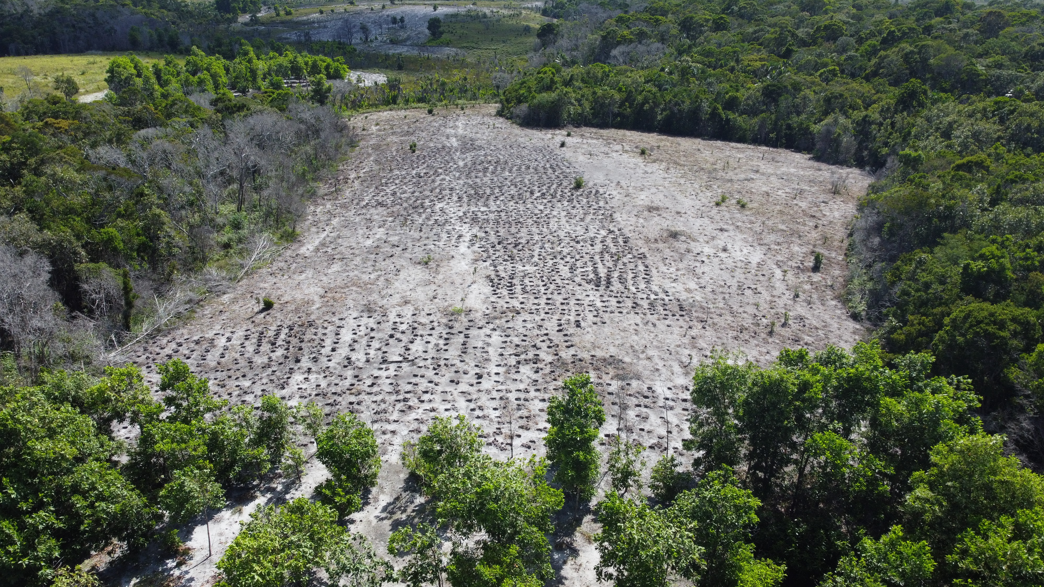 Sainte Luce forest fragment degraded seen from an aerial view