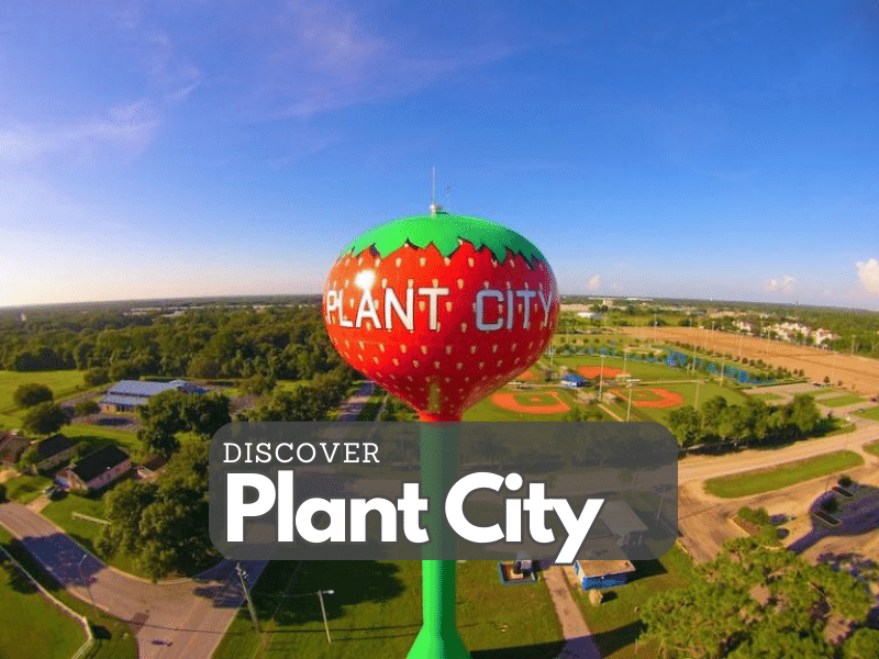 Plant City Floria Homes