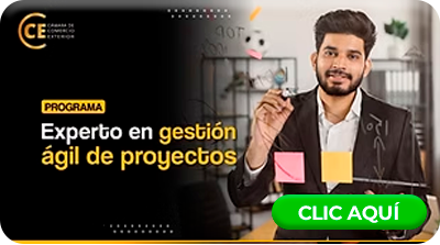 Curso: Experto en Gestión Ágil de Proyectos 2025