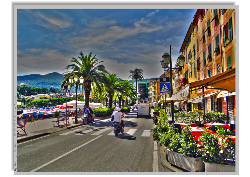 Road along the coast with palm trees and colorful house facades along one side