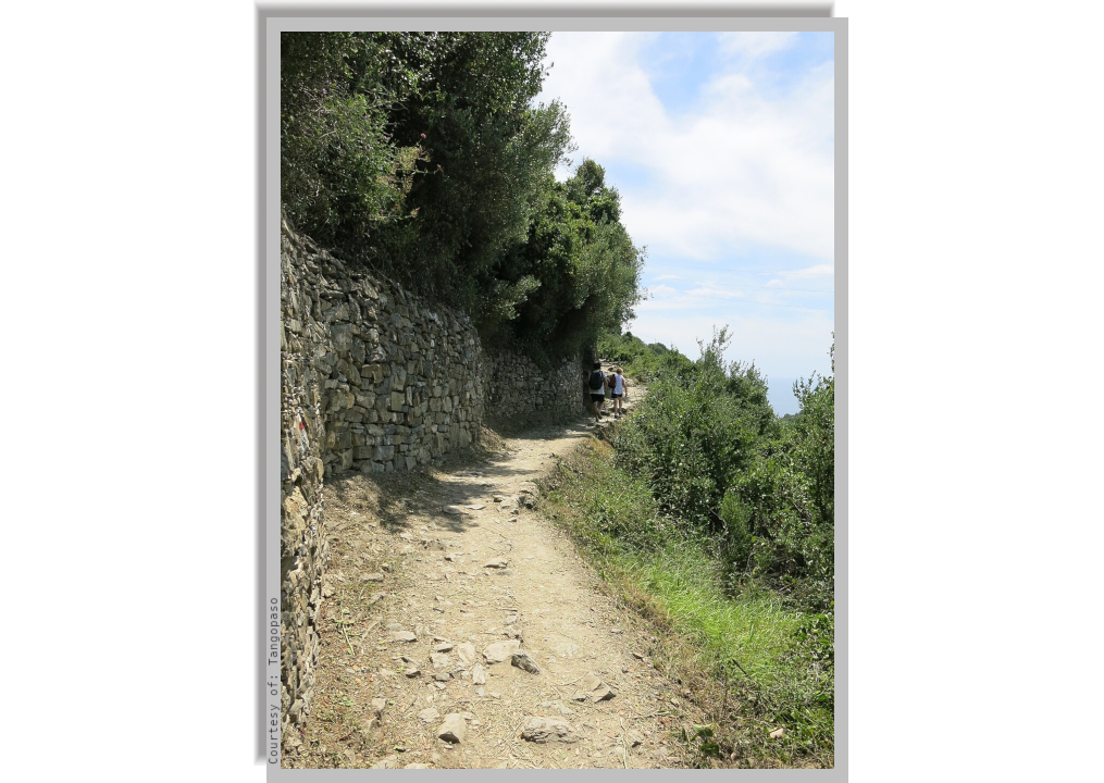 A coastal trail trough the hills overlooking the sea