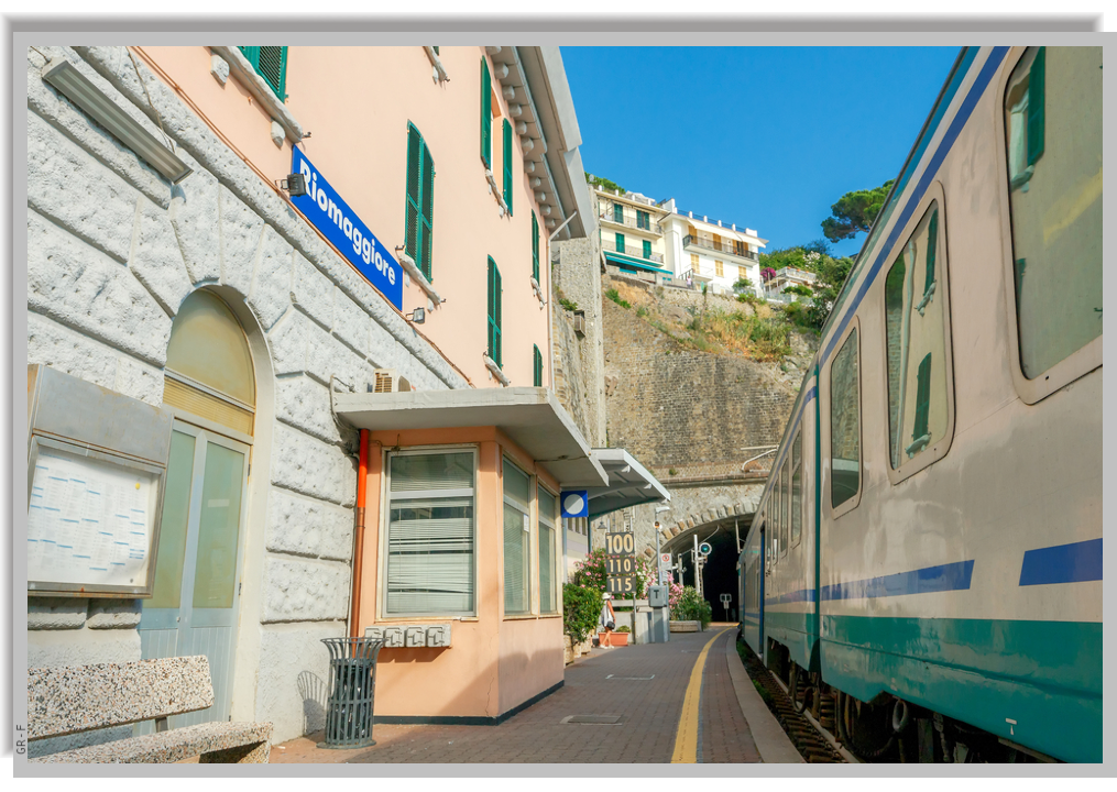 A train stopped at the Riomaggiore station