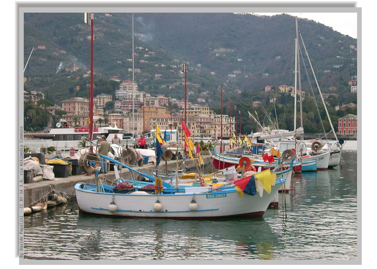 Boats moored in the marina