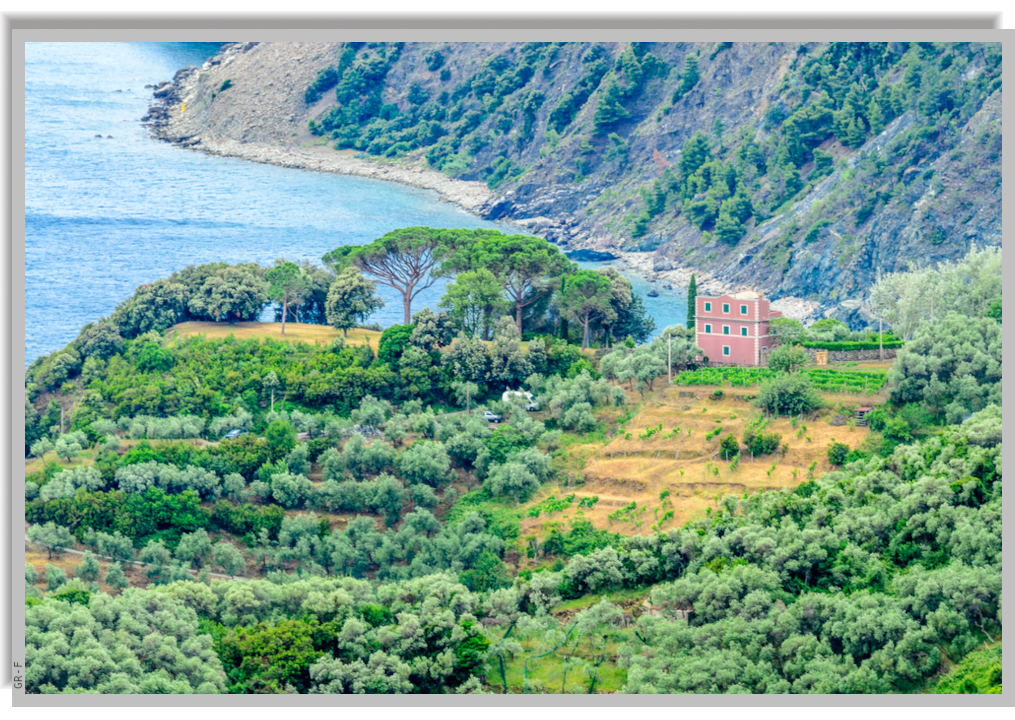 The green hills around Vernazza village, with sea pine trees and in the background the Sea