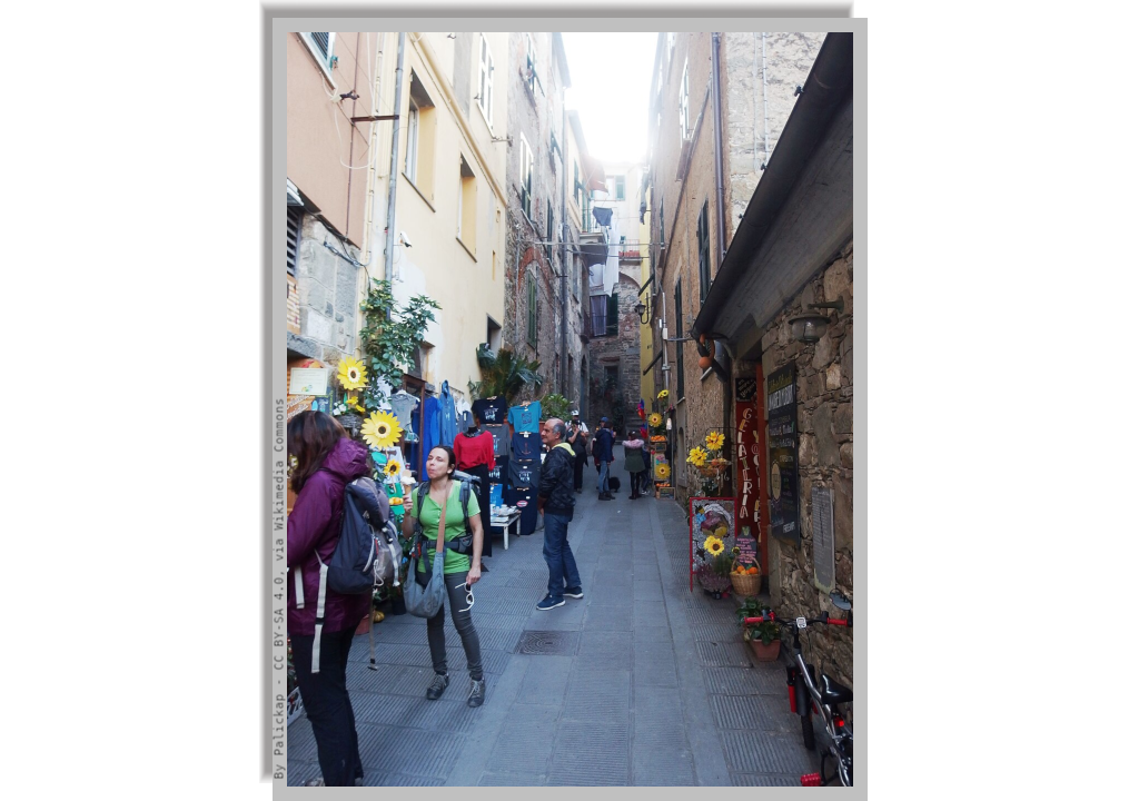 Fieschi street, the main alley in Corniglia