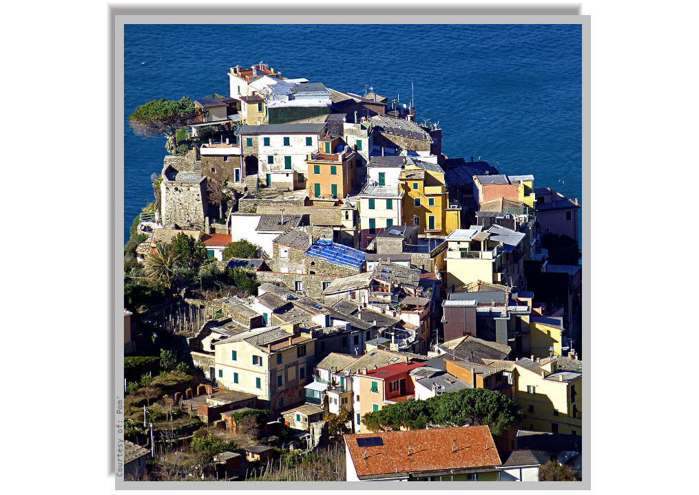 The adjoining houses of Corniglia village built on the cliff overlooking the Sea