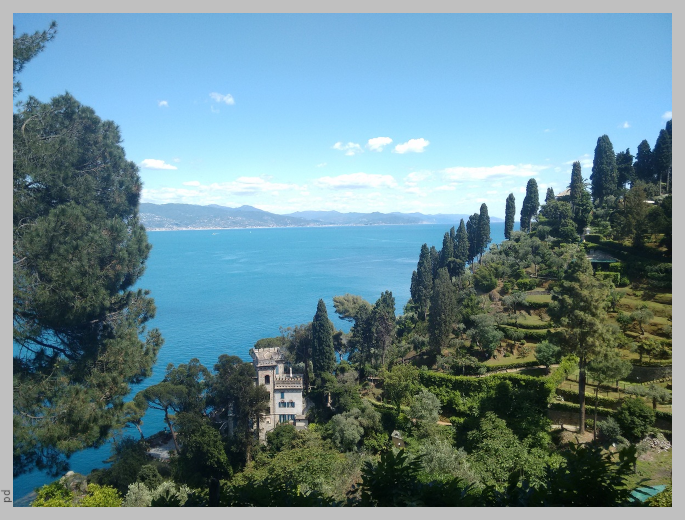 A green hill on the Promontory of Portofino and in the background the sea and the ligurian coastline