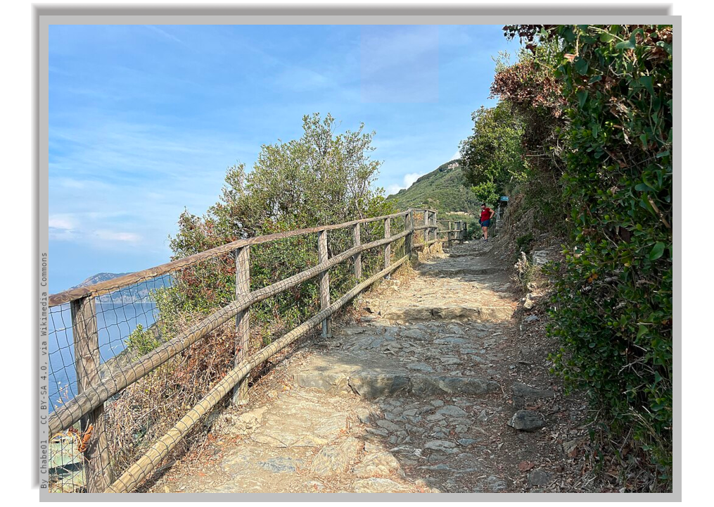 A trail overlooking the see protected by railing