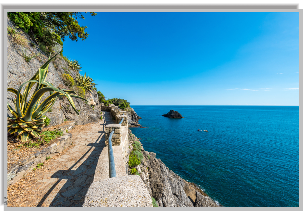 Sea view from a trail along the coastline