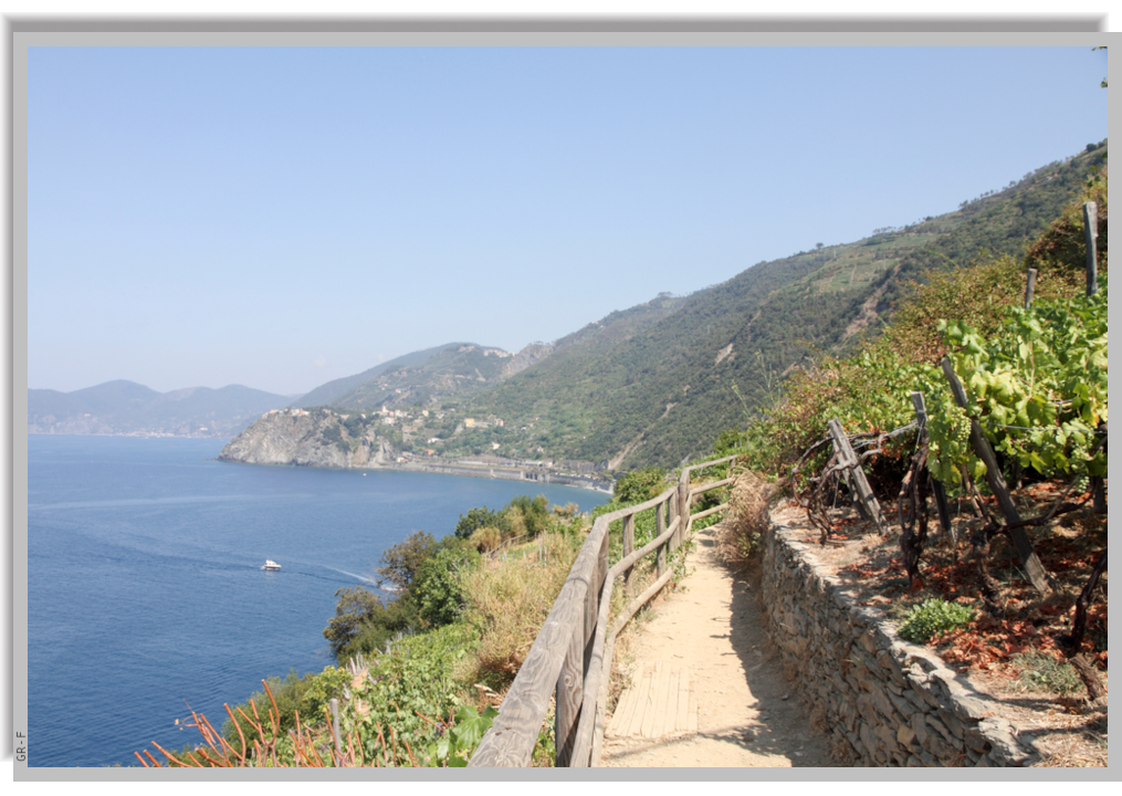 A trail on the hills around Manarola, with a stunnig panorama of the coastline and the sea
