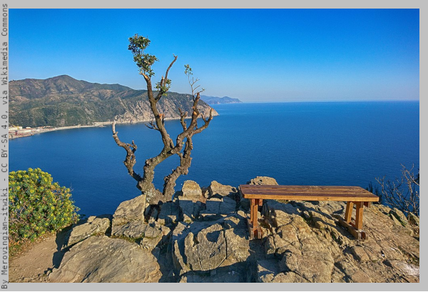 Panorama of the Sea from Punta Manara hill, with a bench and a shrub on the rocky peak