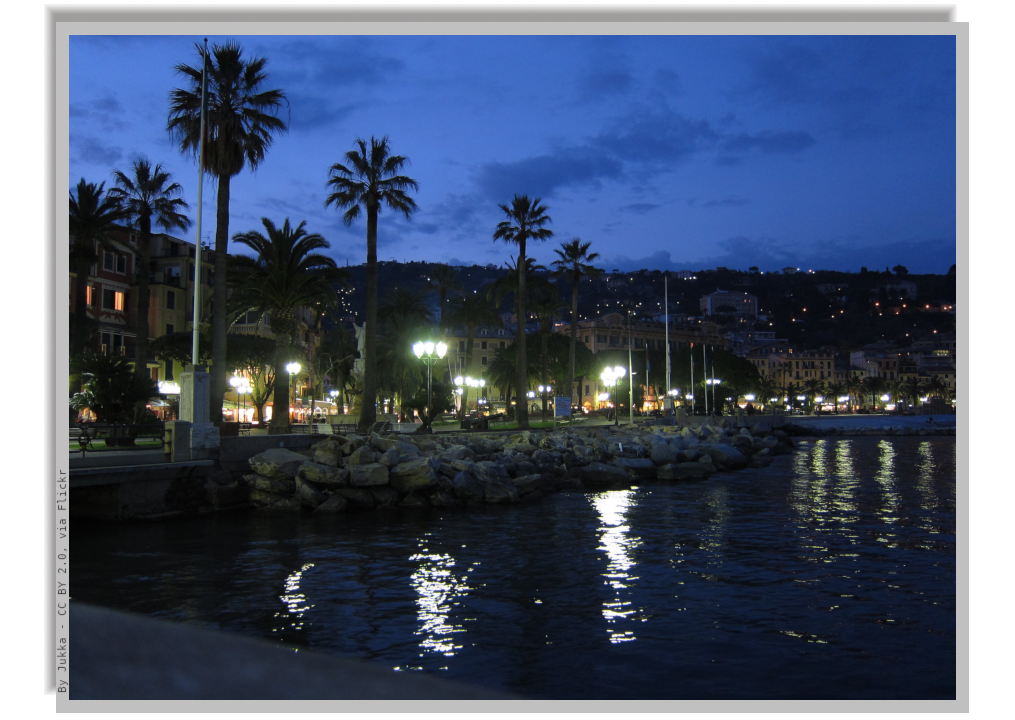 Coastline at night, with palm trees and lights reflected on the calm sea waters