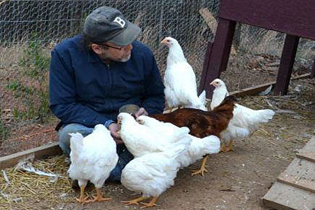 https://www.cacklehatchery.com/starve-out-in-turkey-poults/