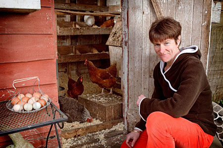 https://www.cacklehatchery.com/17-common-questions-about-chickens-and-eggs/