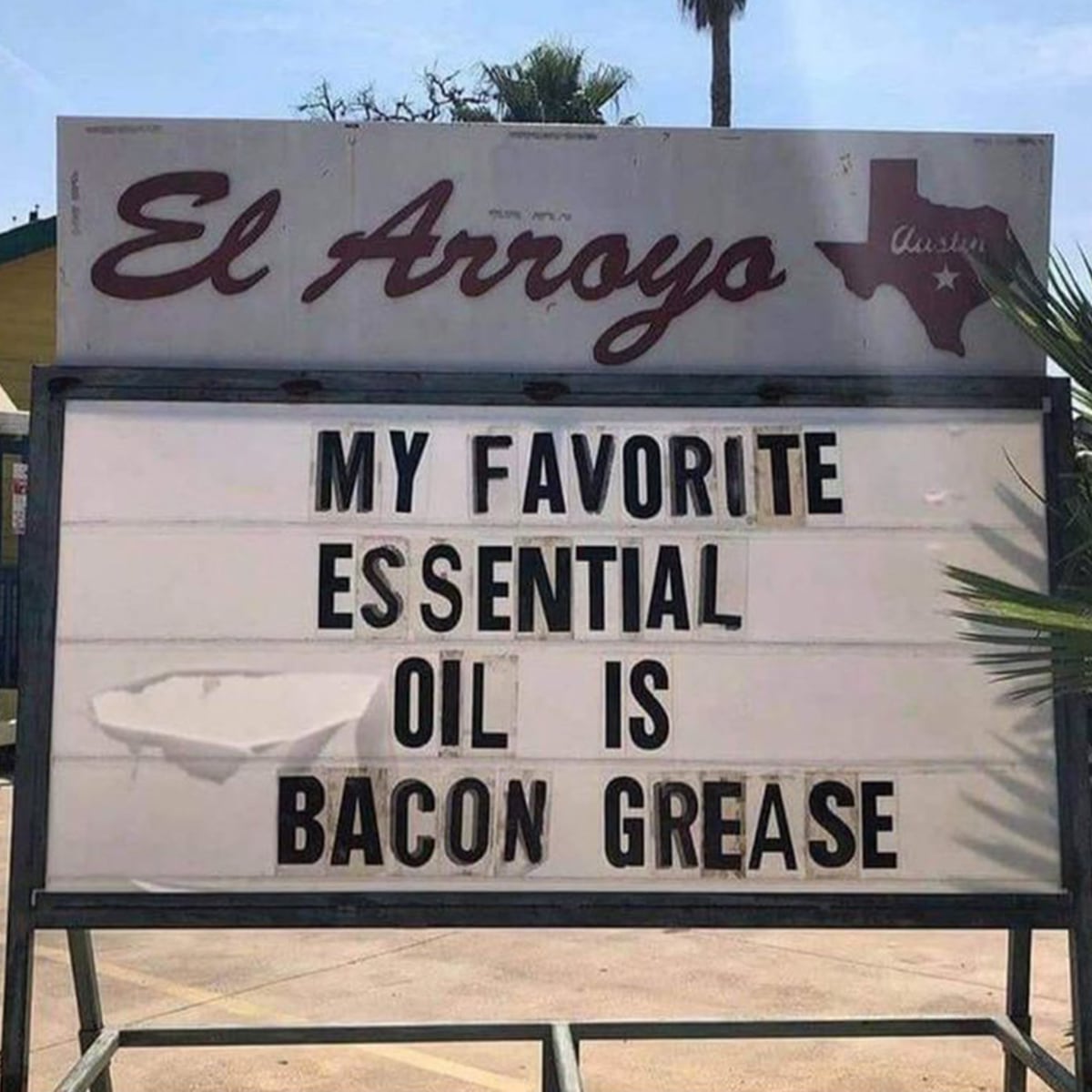 My Favorite Essential Oil is Bacon Grease