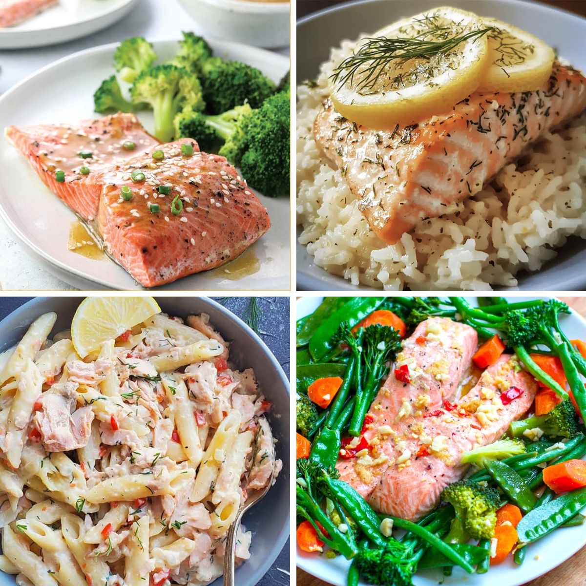 Best Instant Pot Salmon Recipes