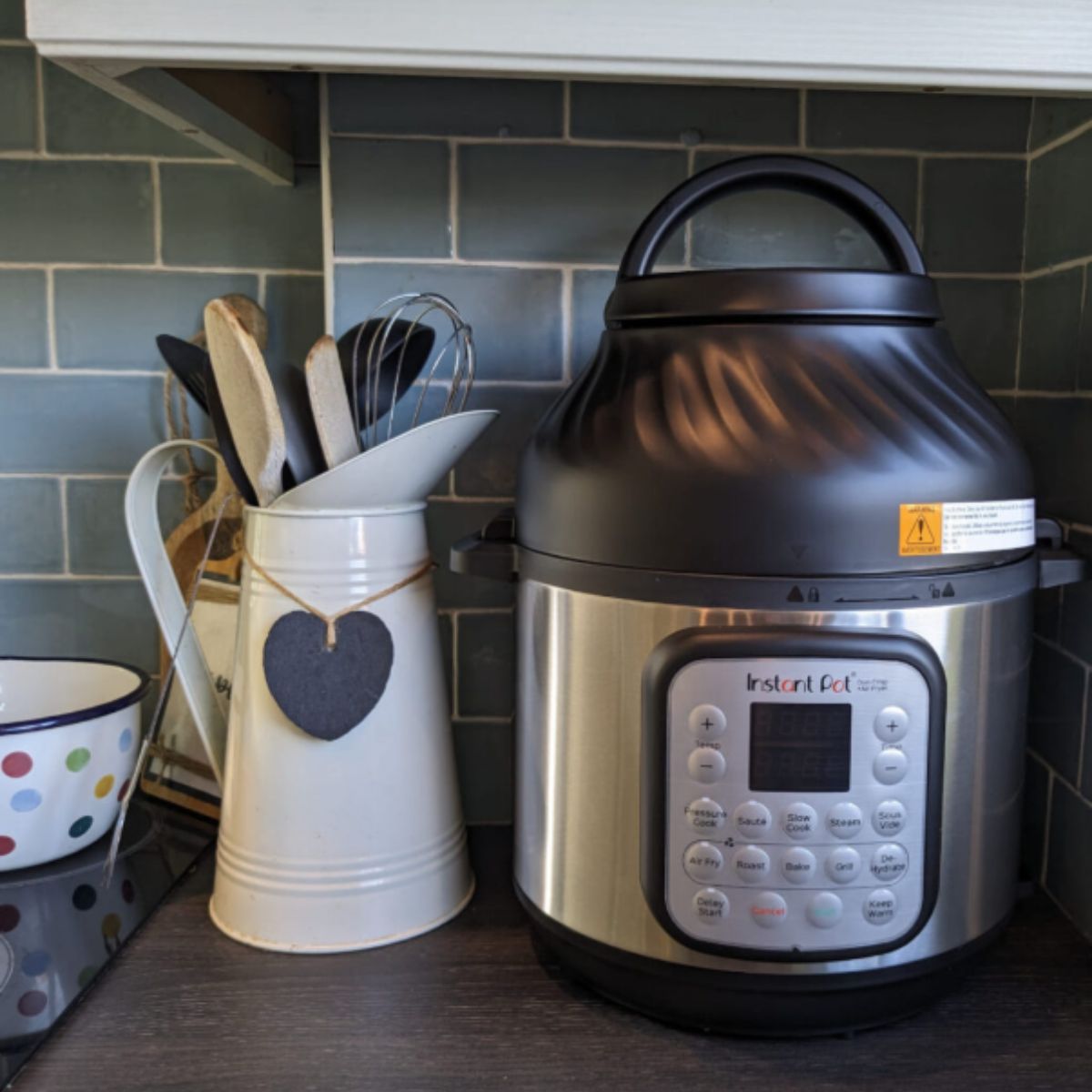 Instant Pot Viva vs Duo: Which Model Fits Your Cooking Style?