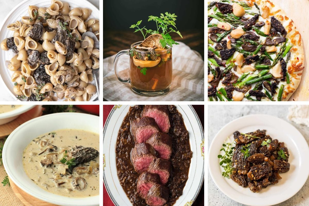 Best Morel Mushroom Recipes