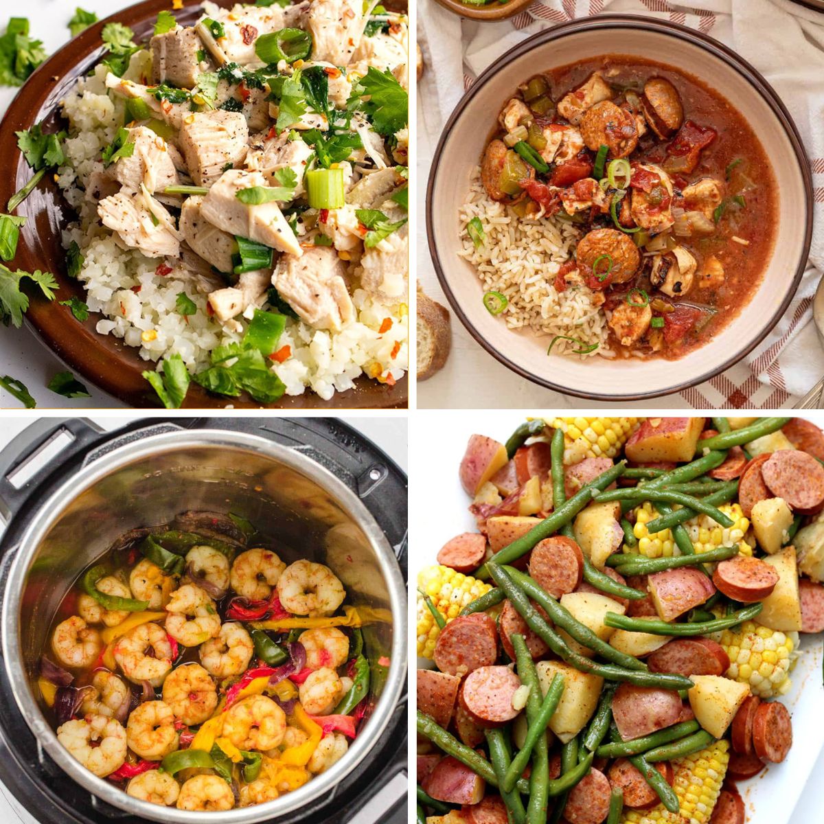 Dump and Go Instant Pot Recipes