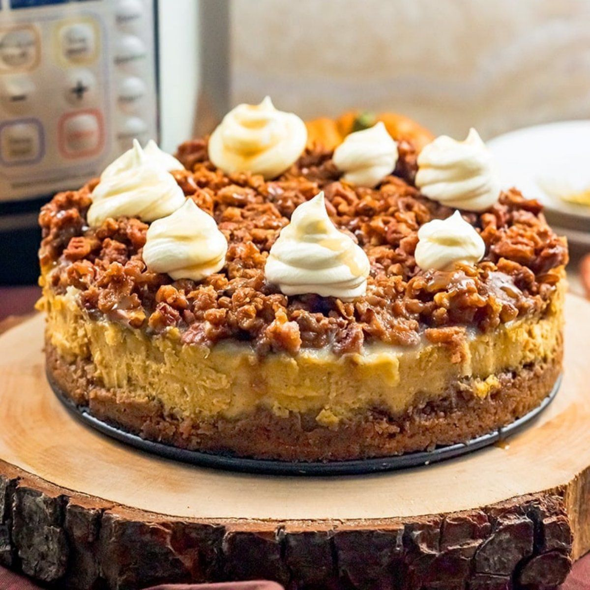 A whole pumpkin cheesecake sits on a rustic wooden slab, layered with a graham cracker crust, topped with crunchy caramel pecans, and decorated with swirls of whipped cream.