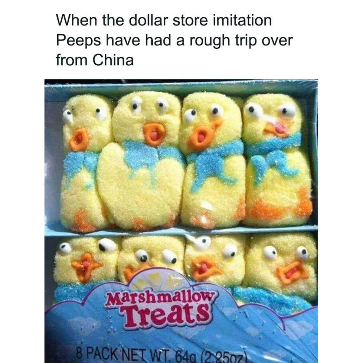 When the dollar store imitation peeps have had a rough trip over from China.