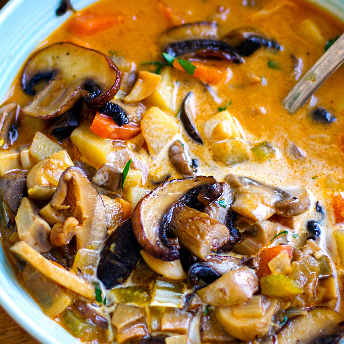 Creamy Instant Pot Mushroom Stew