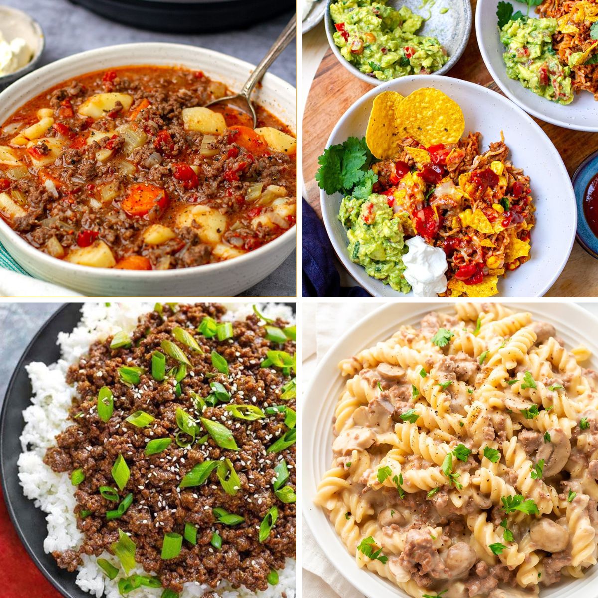 Best Instant Pot Ground Beef Recipes