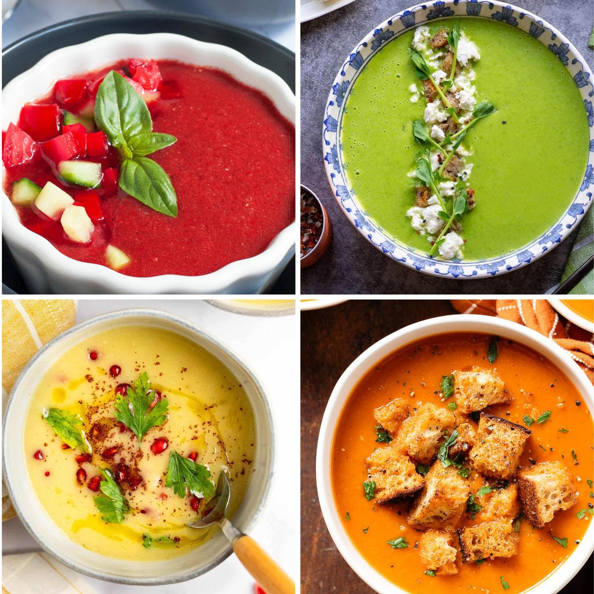 Blender Soup Recipes