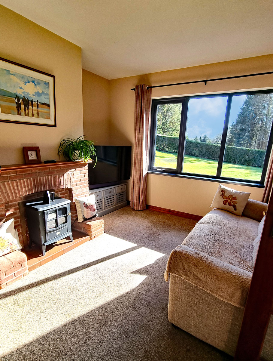 The snug, with two sofa, large TV and view over the back garden