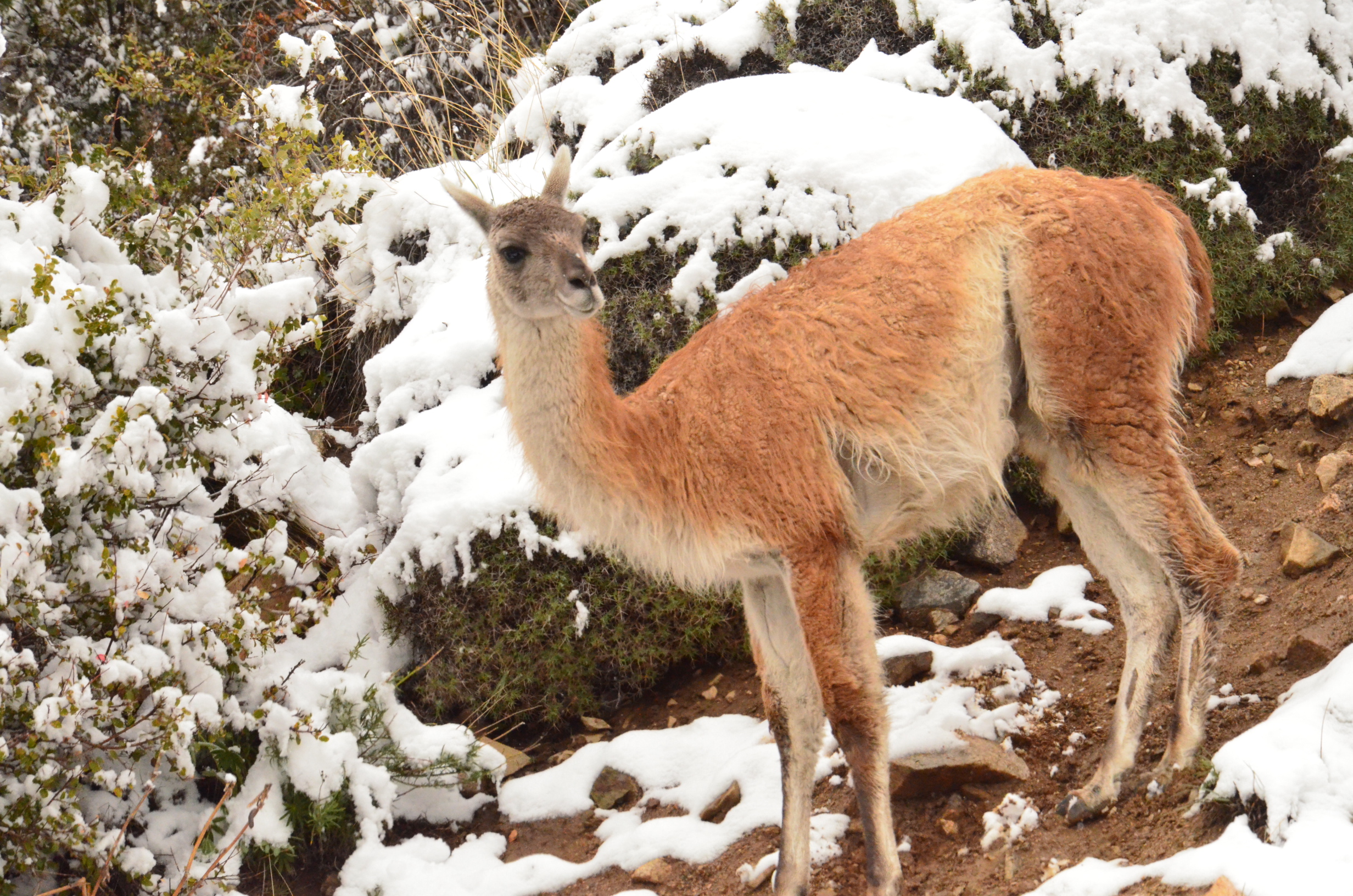 Galería Plein Air 13