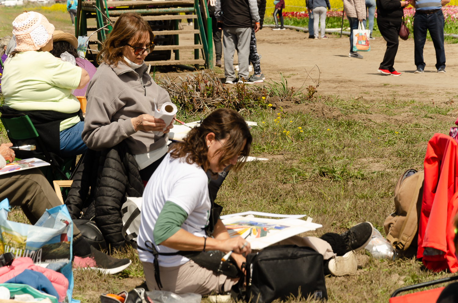 Galería Plein Air 11