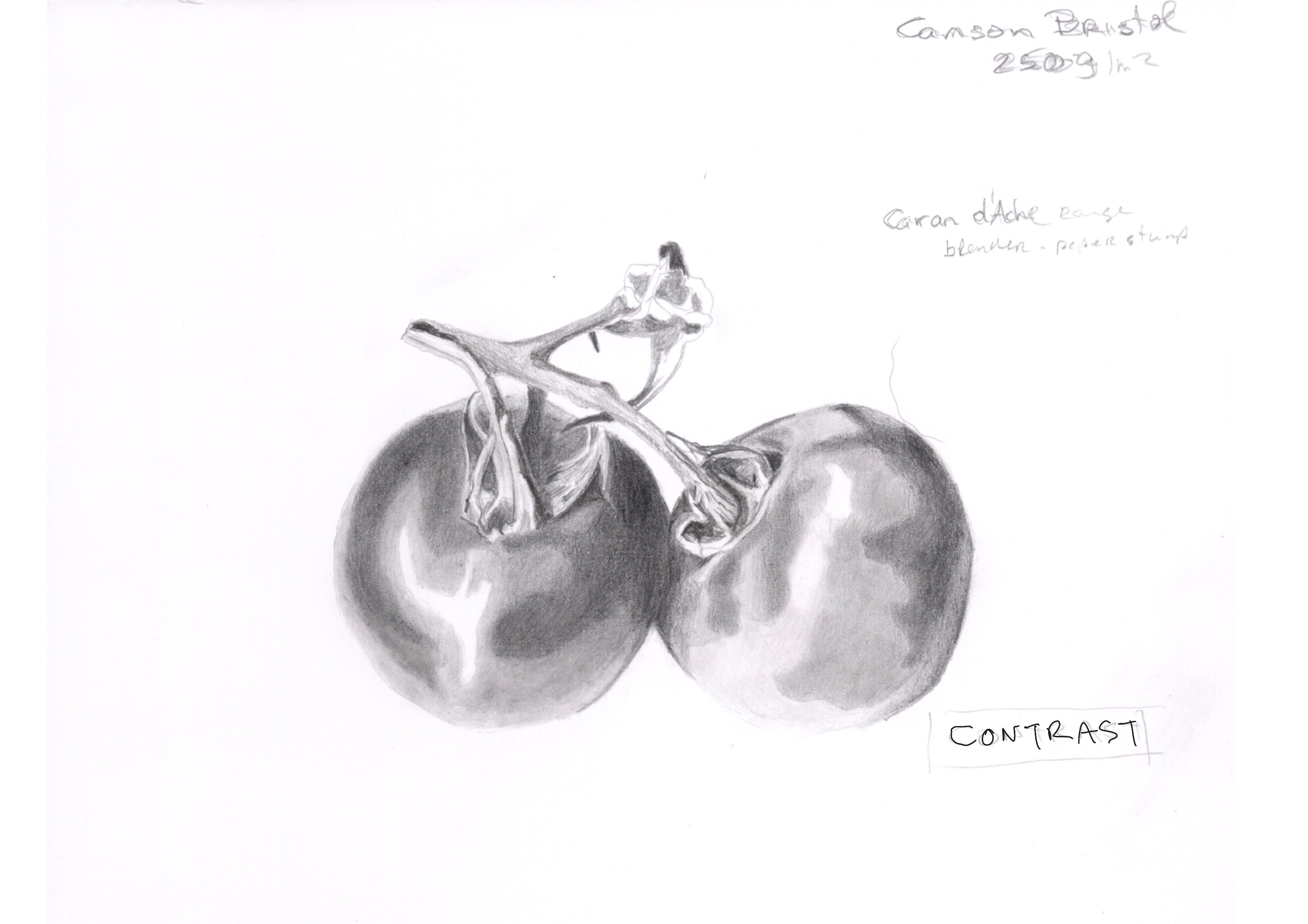 A graphite drawing of tomatoes