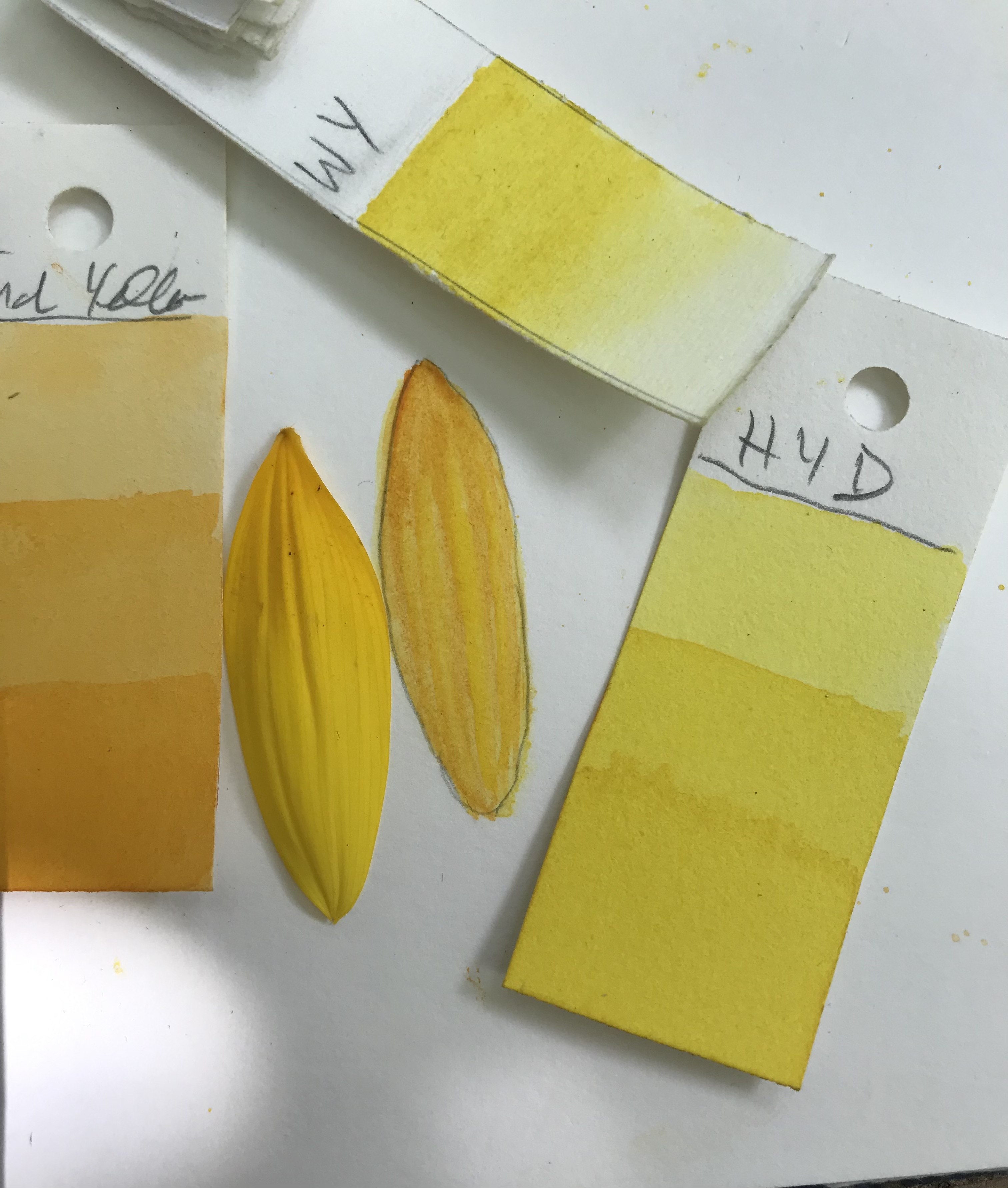 Hauptgebäude Berggarten Hannover